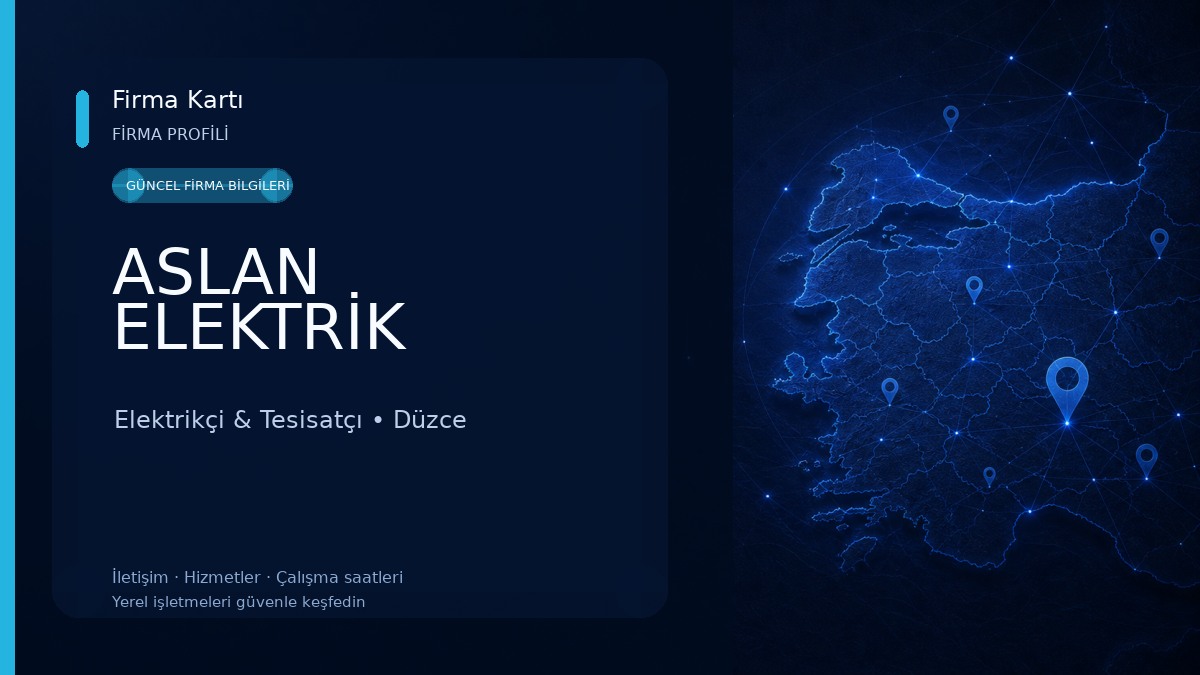 ASLAN ELEKTRİK
